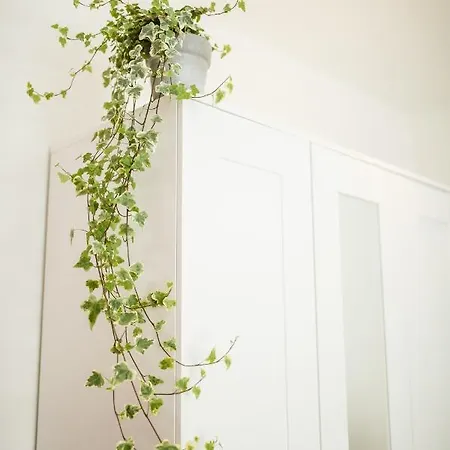 شقة Trendy Design 55m2 With Balcony - Db6b *