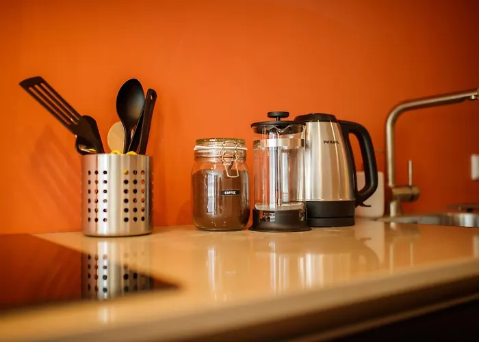 Trendy Design 55m2 With Balcony - Db6b * 's-Hertogenbosch (Den Bosch)